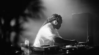 Ananda Project ICU DJ Spinna Extended Mix