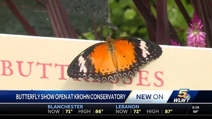 Krohn Conservatory Butterfly show highlights gothic era