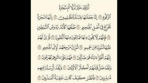 سورة الصافات من 62 - 74 صف 6