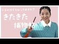 【宮部みゆきさん】「岡っ引き」の意味、知ってますか？