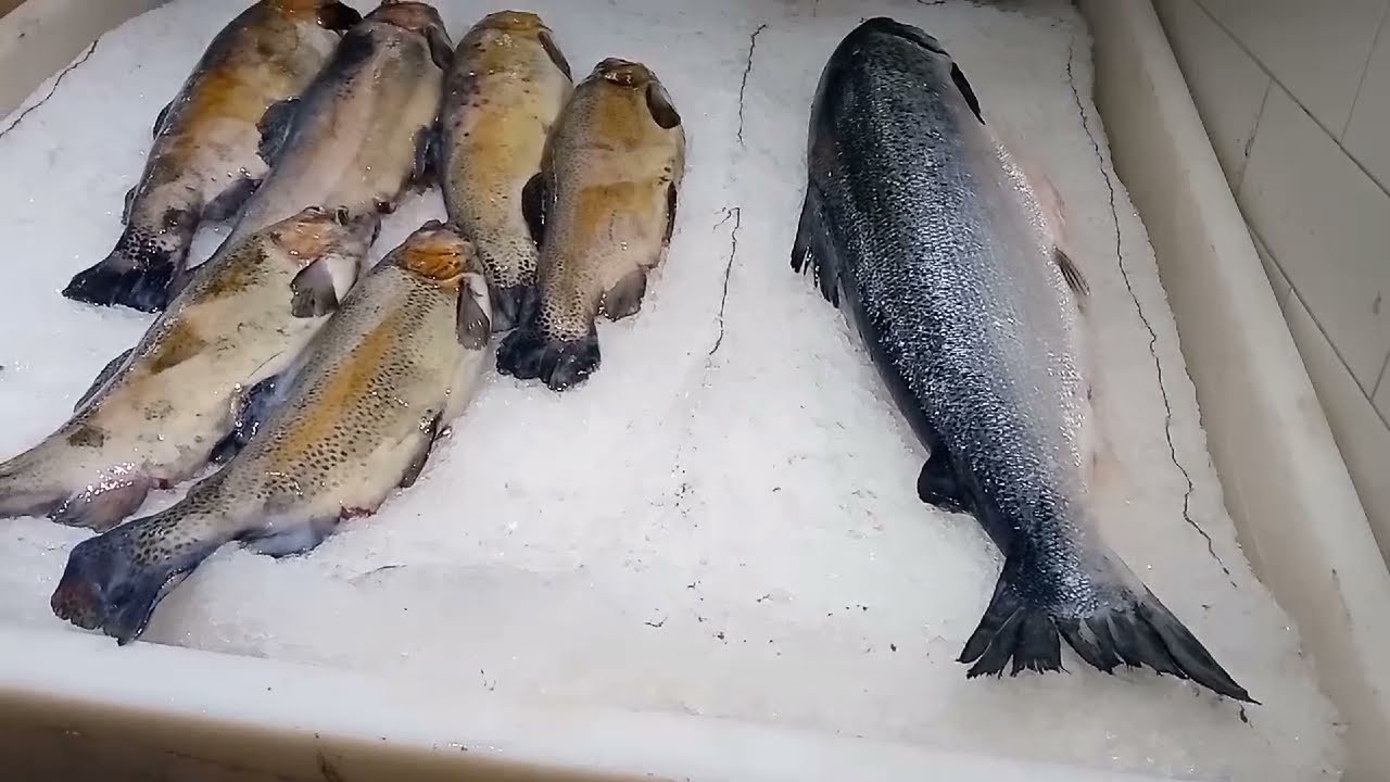 HYPERSTAR MALL ,FORTRESS STADIUM LAHORE