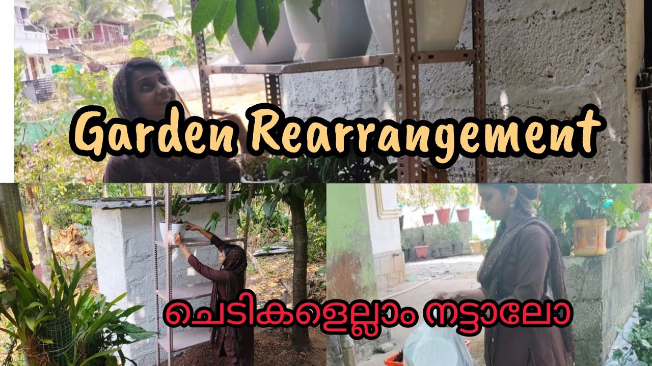ചെടികളെല്ലാം വച്ചപ്പോൾ അടിപൊളിയായി #for you#viral video#gardening #happy 