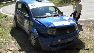 35° Rally Città Di Torino 2020 - Crashes & Mistakes