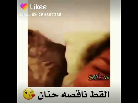 فيديو: ليكلاند جحر