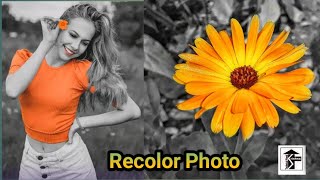 Color Splash Tutorial // How to Change Background Black and white in Snapseed// Recolor Image screenshot 4
