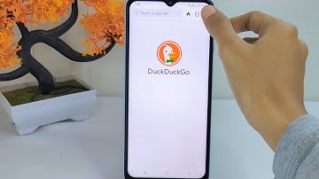 How To View Saved Password In DuckDuckGo App On Android