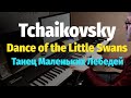 Dance of the Little Swans / Танец Маленьких Лебедей - Piano Cover & Sheet, Ноты