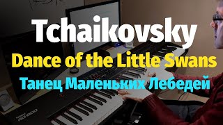 Dance of the Little Swans // Танец Маленьких Лебедей - Piano Cover(Danse des petits cygnes - a famous dance from Tchaikovsky's Swan Lake Ballet. This is my own piano arrangement. SHEET/НОТЫ: https://goo.gl/Dj8PpC Get ..., 2017-01-06T20:56:03.000Z)