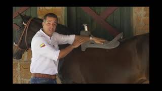 Tipos De Fustes De Las Sillas Mesacé, Explicación Para Saber Si La Montura Es La Adecuada Al Caballo