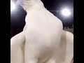 شعر يالله بطير هالسنة يكضي الدين 