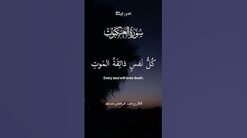 يا عبادي الذين آمنوا إن أرضي واسعة  #عبدالرحمن_مسعد سورة العنكبوت #quran #yasseraldossary