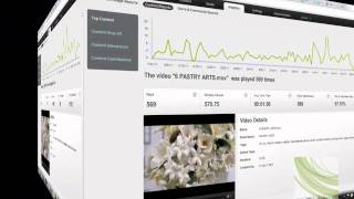 Kaltura Video Analytics and Reporting