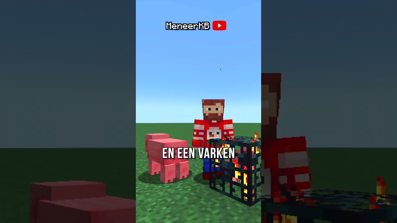 een OPLOSSING voor een van Minecrafts GROOTSTE PROBLEMEN 