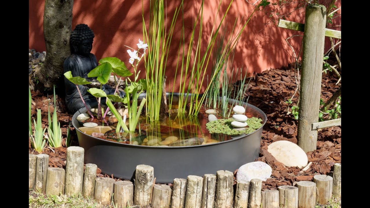 Réaliser un mini bassin aquatique. 2ème partie