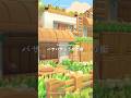 ⬆️島紹介動画はこちら🌼 #ぽこポケ #pokopia