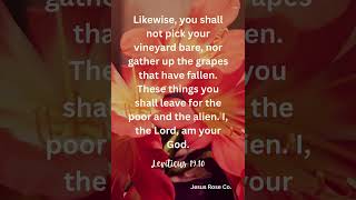 Catholic Bible Study | Leviticus 19:10 | Jesus Rose Co. ✝️