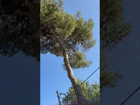 Iranian Missiles Over The Holy City Of Jerusalem Israel Iran Jerusalem ישראל 