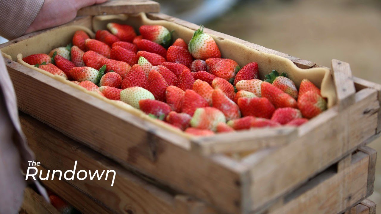 Israeli Government Moves to Lower Tariffs on Fruits & Vegetables