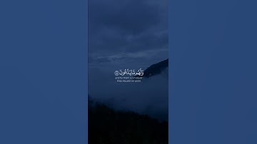 #تلاوة #القرآن_الكريم #تلاوات #quran #القرآن #تلاوة_خاشعة #قرآن #آيات #قران_كريم #تلاوات_خاشعة