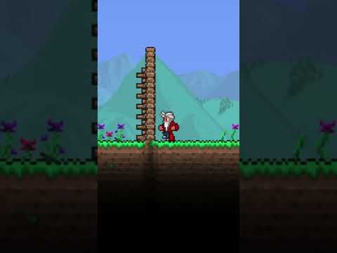 The Bug Terraria Refuses to Fix