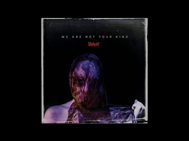 Slipknot: Unsainted ( We Are Not Your Kind, album with lyrics)