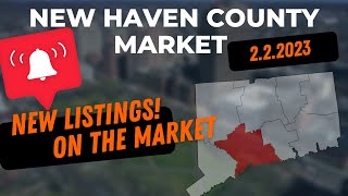 CT Real Estate - New Listings 2.2.23