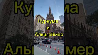 Может ли куркума защитить мозг от болезни Альцгеймера? #здоровье #память #деменция