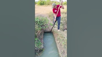 Remove Trash Clogged Drain #satisfying #unclog #culvert #shorts