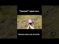 Германия ? первая часть #германия #жизньвгермании #работавгермании #иммиграция #germany #deutschland