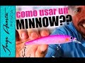 CUANDO, DONDE y COMO usar un MINNOW?? - Consejos de PESCA