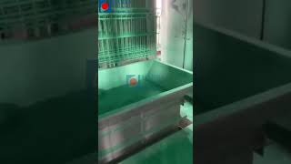 3D wire mesh panel fence PVC powder dipping line in Bulgaria by Hanna