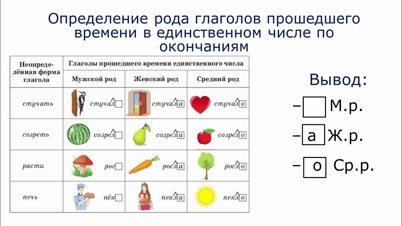 Четверть какой род. Четверть какой род