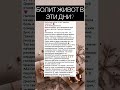 Болит живот в эти дни?