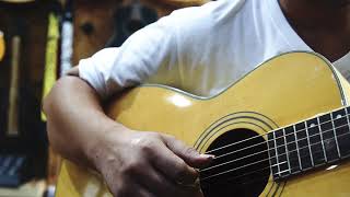 Turner Guitar Model Oo Test