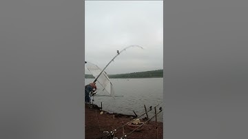 Pha giật nhầm cần hài hước | Cảnh cá kéo cần lăng xê   #shorts