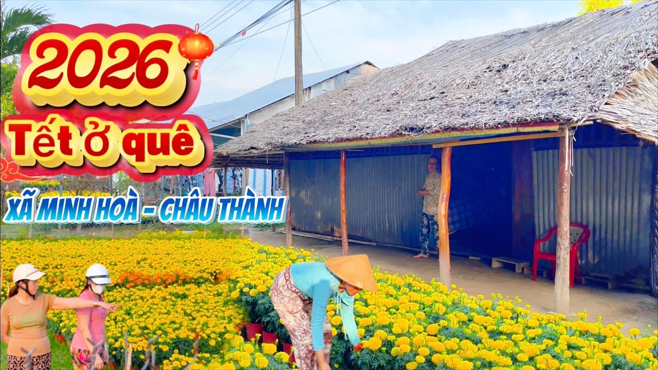 Đi lạc về MIỀN QUÊ | bất ngờ ở đây có nguyên làng hoa tất bật TẾT 2026 gần chợ CHÀM CHẸT