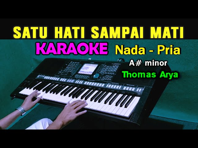 SATU HATI SAMPAI MATI - KARAOKE Nada Pria | Thomas Arya Feat Elsa Pitaloka class=