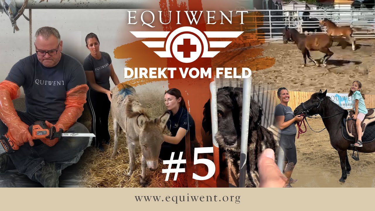 Equiwent - Direkt vom Feld #5 - Wenn Tierschutz weh tut…
