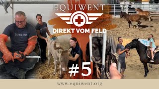 Equiwent - Direkt vom Feld #5 - Wenn Tierschutz weh tut…