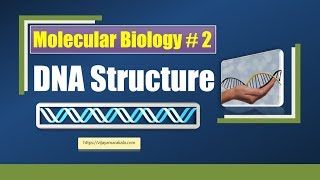 Structure of DNA :Deoxyribonucleic acid: Molecular Biology: biochemistry