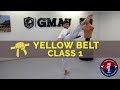 Taekwondo Follow Along Class - Yellow Belt - Class #1