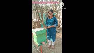 🐝 Beekeeping Experience by Girls | Honey Farming Training Odisha 🍯
