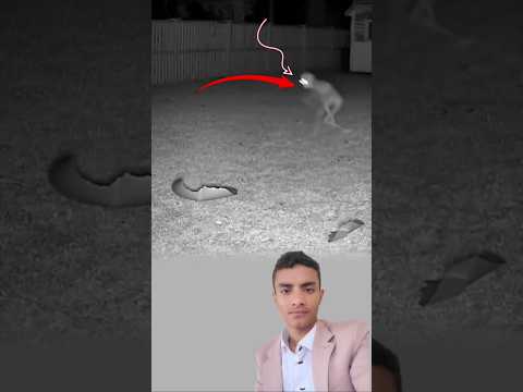 انفجرت الكرة بين يدي الشبح عندما حاول ضغطها فارتبك وفر بسرعة نحو الظلام اكسبلور لايك دويتو