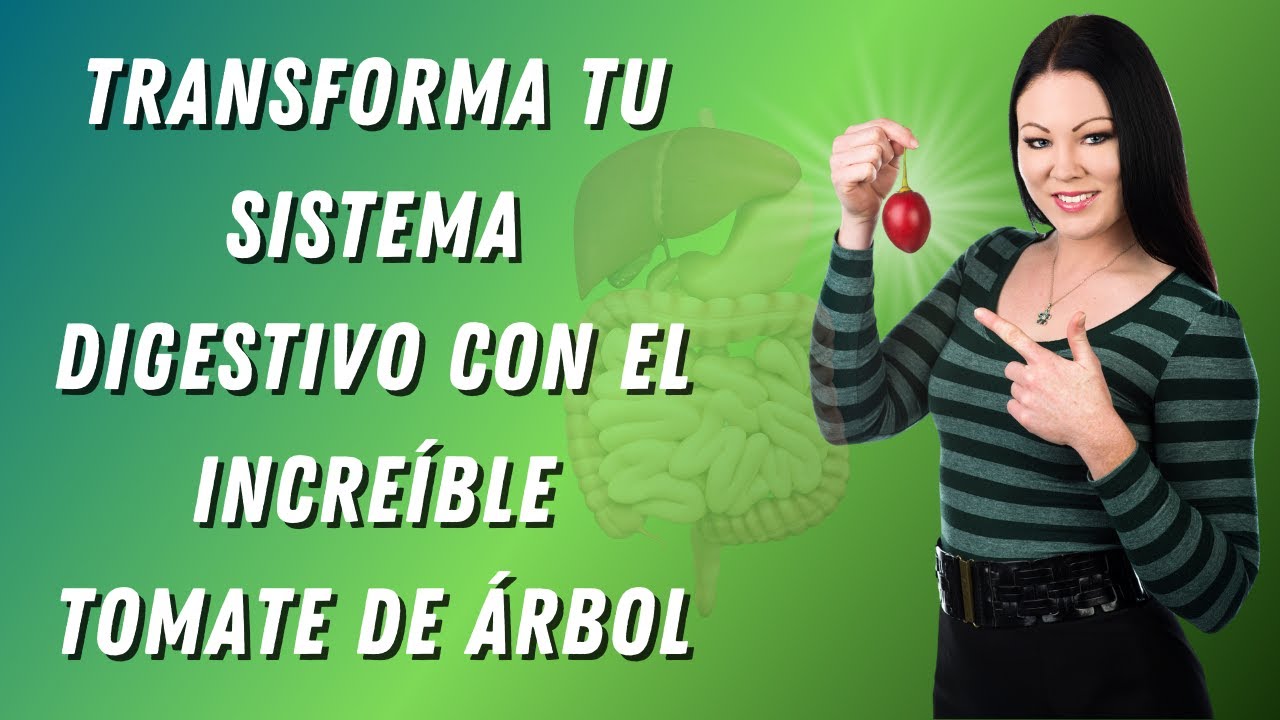 Alimentos que quitan el dolor de estomago