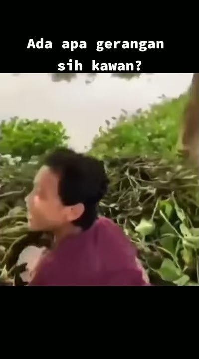 Ada apa gerangan sih kawan?