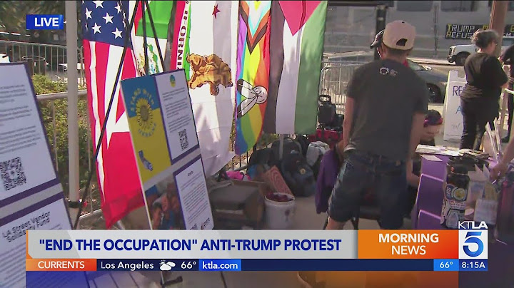 Anti-Trump protesters take to downtown Los Angeles for July 4 march