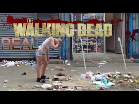 リアル　ウォーキングデッド　Real The Walking Dead