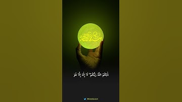 بديع السموات والأرض #تلاوة_خاشعة #خالد_المهنا #حالات_واتس #قرآن #quran #islam