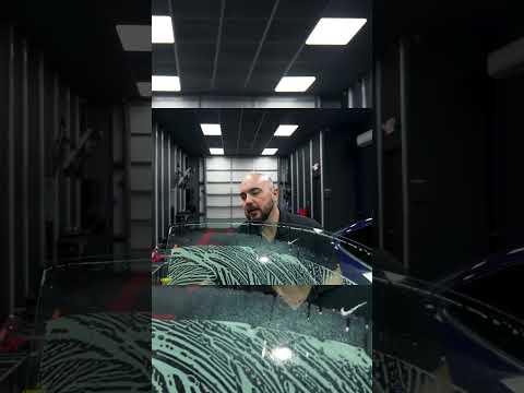 El Champion Window Tint Auto Glass Las Vegas Reviews