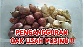 Cara Membuat Ide Bisnis dari Bawang Merah dan Bawang Putih | Usaha Kecil Sukses